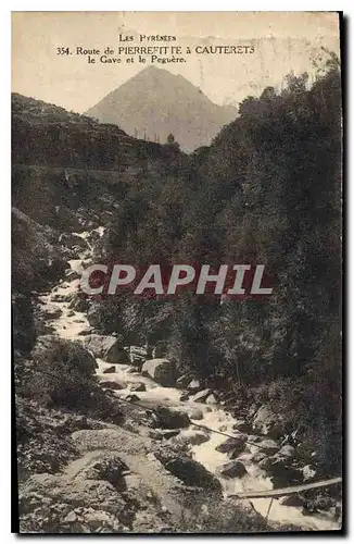 Cartes postales Route de Pierrefitte a Cauterets le Gave et le Peguere