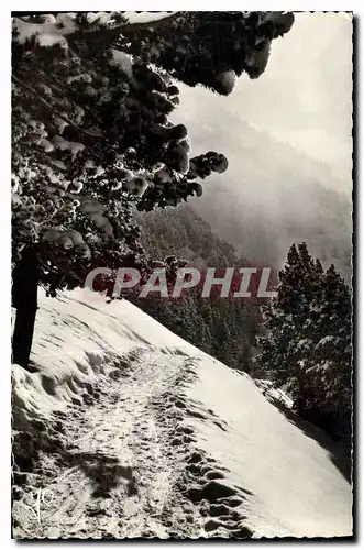 Cartes postales Bareges Hautes Pyrenees Depart ayre Demon des Neiges