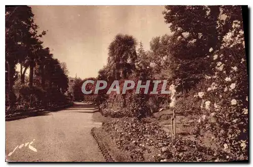 Cartes postales Tarbes HP Les allees fleuries du Jardin Massey et statue de St Christophe a droite