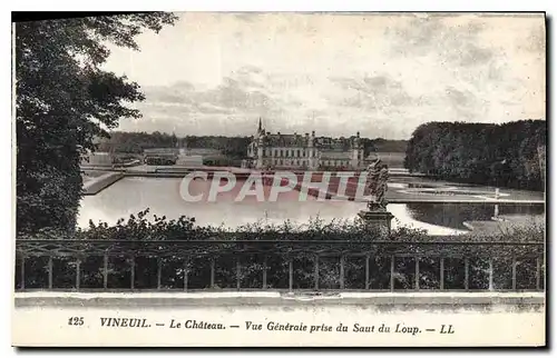 Cartes postales Vineuil Le Chateau Vue Generale prise du Saut du Loup