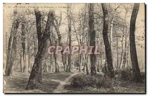 Cartes postales Royan Futaie de la Metairie a Pontaillac