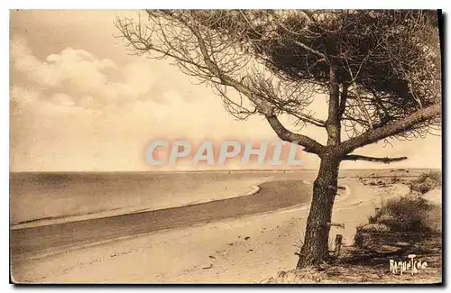 Cartes postales L'Estuaire de la Seudre Le grand calme succede a la cote tourmentee de La Coubre