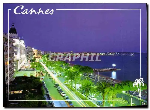 Cartes postales moderne Cannes AM La Croisette by Night