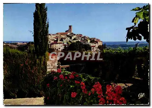 Cartes postales moderne Saint Paul Vue sur la Vieille Cite