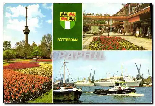 Cartes postales moderne Rotterdam Holland
