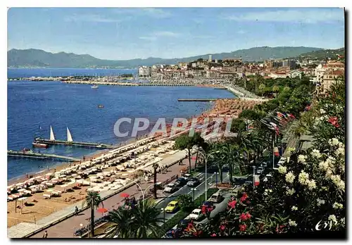 Cartes postales moderne Cannes AM Le Suquet vu de la Croisette