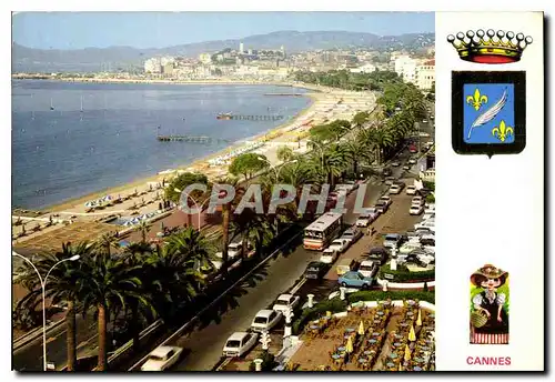 Cartes postales moderne Cannes La Cote d'Azur Inoubliable