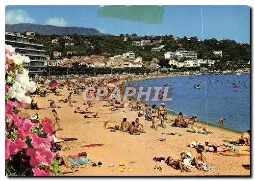 Cartes postales moderne La Cote d'Azur Varoise Le Lavandou La Plage