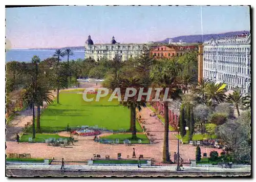 Cartes postales moderne Nice Les nouveaux Jardins Albert