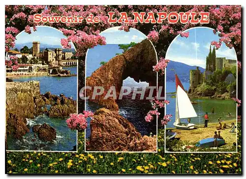 Cartes postales moderne Souvenir de La Napoule