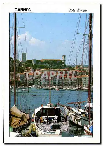 Cartes postales moderne Cannes Cote d'Azur