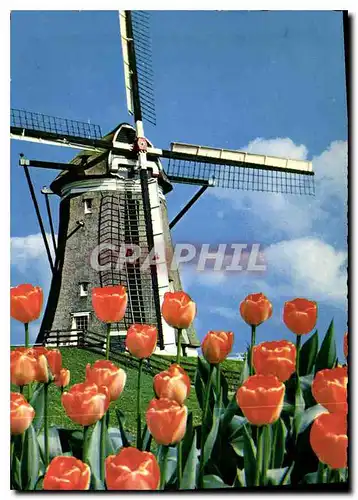 Cartes postales moderne Moulin a vent