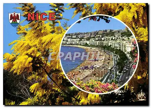 Cartes postales moderne Nice La Promenade des Anglais