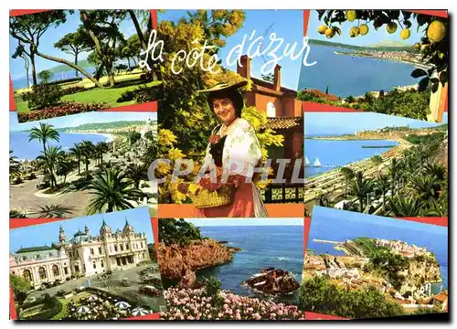 Cartes postales moderne La Cote d'Azur miracle de la nature