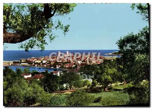 Cartes postales moderne Antibes Vue generale a travers les oliviers