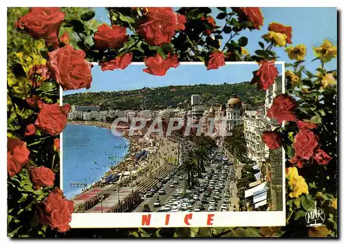 Cartes postales moderne Nice La Cote d'Azur La Promenade des Anglais