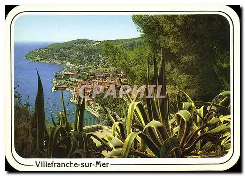 Cartes postales moderne Villefranche sur Mer