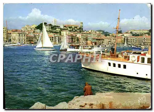 Cartes postales moderne La Cote d'Azur Miracle de la nature Cannes Alpes Maritimes le Port