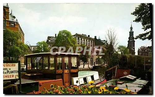 Cartes postales moderne Amsterdam Flowermarket with Minttower