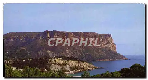 Cartes postales moderne Une Rose a la Boutonniere de la Provence Cassis sur Mer le Cap Canaille