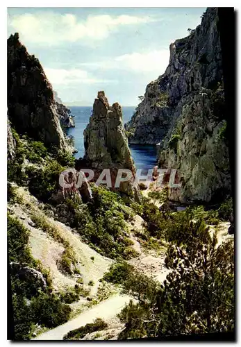 Moderne Karte Une rose a la Boutonniere de la Provence Cassis sur Mer Calanque d'En Vau