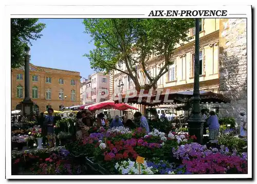 Cartes postales moderne Aix en Provence B du R Place de la Mairie le Marche aux fleurs
