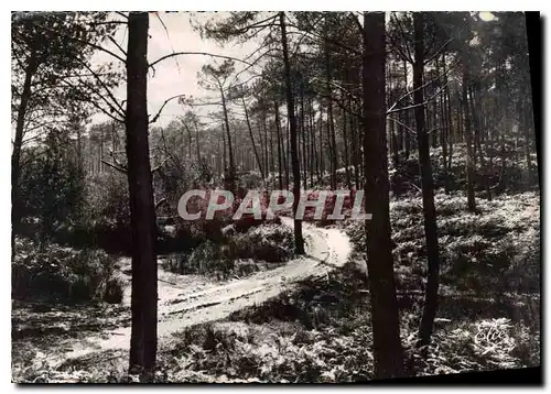 Moderne Karte La Lande Chemin dans la Foret