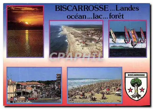 Cartes postales moderne Landes Biscarrosse Ocean Lac foret Planche a voile