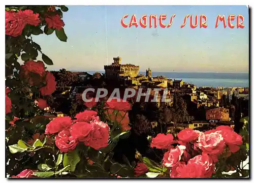 Cartes postales moderne La Cote d'Azur Inoubliable Cagnes