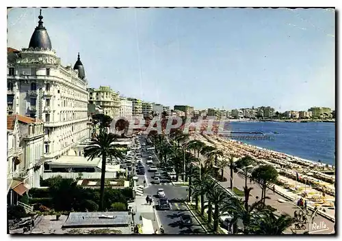 Cartes postales moderne La Cote d'Azur Cannes A M le Carlton et la Croisette