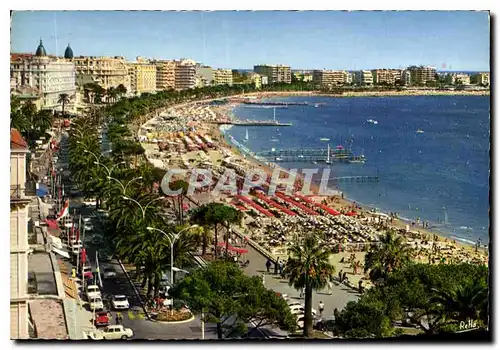 Moderne Karte La Cote d'Azur Cannes A M la Croisette et les Plages vues du Majestic