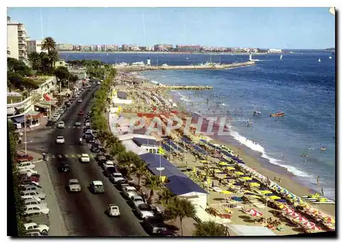 Cartes postales moderne La Cote d'Azur Cannes la Plage du Midi