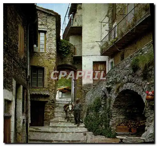 Cartes postales moderne Luceram A M Vieille rue Pittoresque