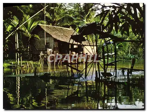 Moderne Karte Le Monde d'Angkor Habitation cambodgienne sur pilotis avec sa roue a aubes au bord de la riviere