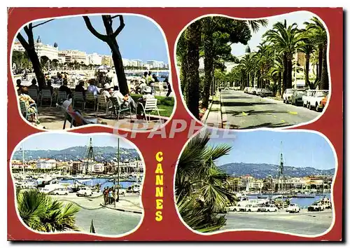 Cartes postales moderne Cote d'Azur Cannes