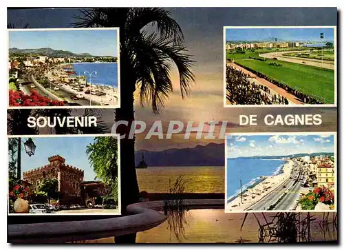 Cartes postales moderne Cote d'Azur French Riviera Cagnes Alpes Maritimes