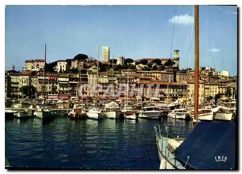 Cartes postales moderne Reflets de la Cote d'Azur Cannes A Mmes le Port a l'arriere plan le Suquet