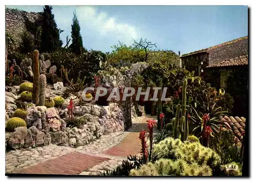 Cartes postales moderne La Cote d'Azur French Riviera Eze Village le Jardin Exotique