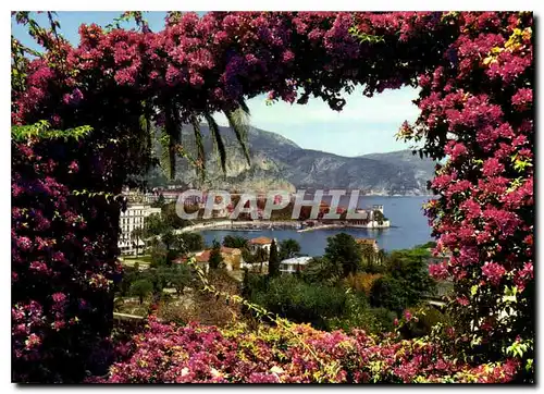 Cartes postales moderne La Cote d'Azur Beaulieu sur Mer la Baie et la Villa Kerylos