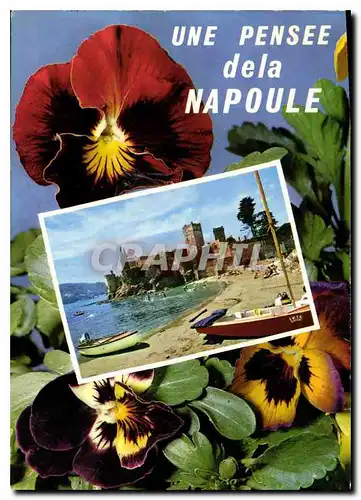 Cartes postales moderne La Cote d'Azur la Napoule Plage le Chateau