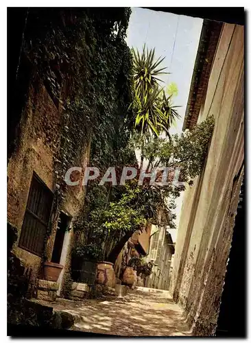 Cartes postales moderne Cagnes sur Mer Alpes Maritimes rue Saint Roch