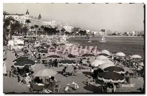 Cartes postales moderne Cannes A M la Plage