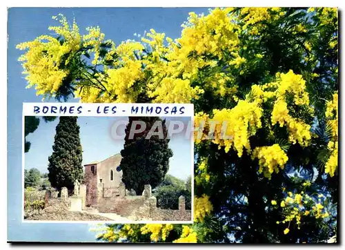 Cartes postales moderne La Cote d'Azur Bormes les Mimosas