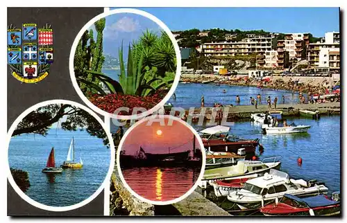 Cartes postales moderne Six Fours les Plages