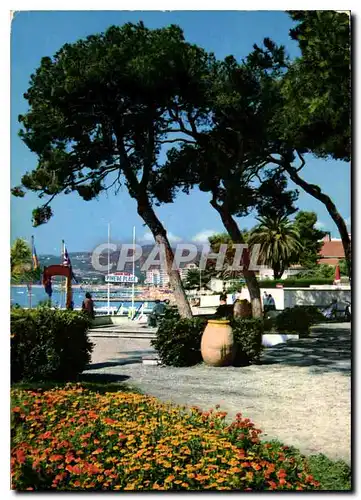 Cartes postales moderne Cote d'Azur Juan les Pins et sa Pinede Fleurie