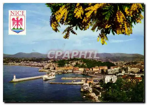 Cartes postales moderne Au Soleil de la Cote d'Azur vue generale de la Ville Nice