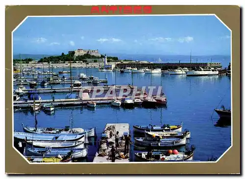 Cartes postales moderne Antibes Cote d'Azur vue du Port et du Fort Carre