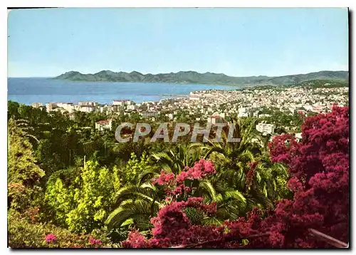 Moderne Karte La Cote d'Azur Cannes vue generale prise de Super cannes Parmi les fleurs