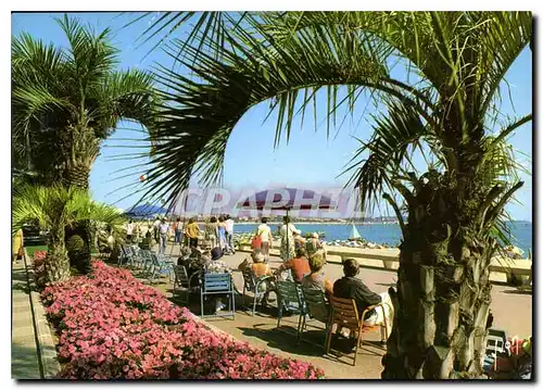 Cartes postales moderne La Cote d'Azur Cannes A M la Croisette