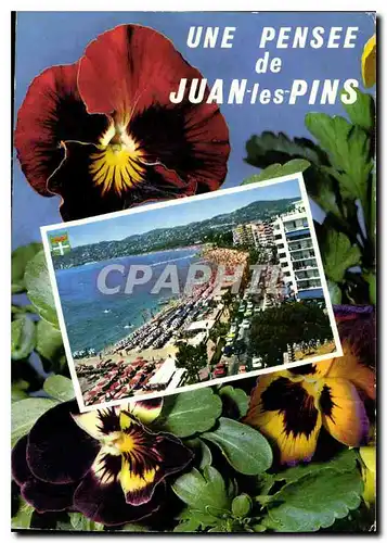 Cartes postales moderne La Cote d'Azur Juan les Pins l'Avenue Guillaumont et la Plage